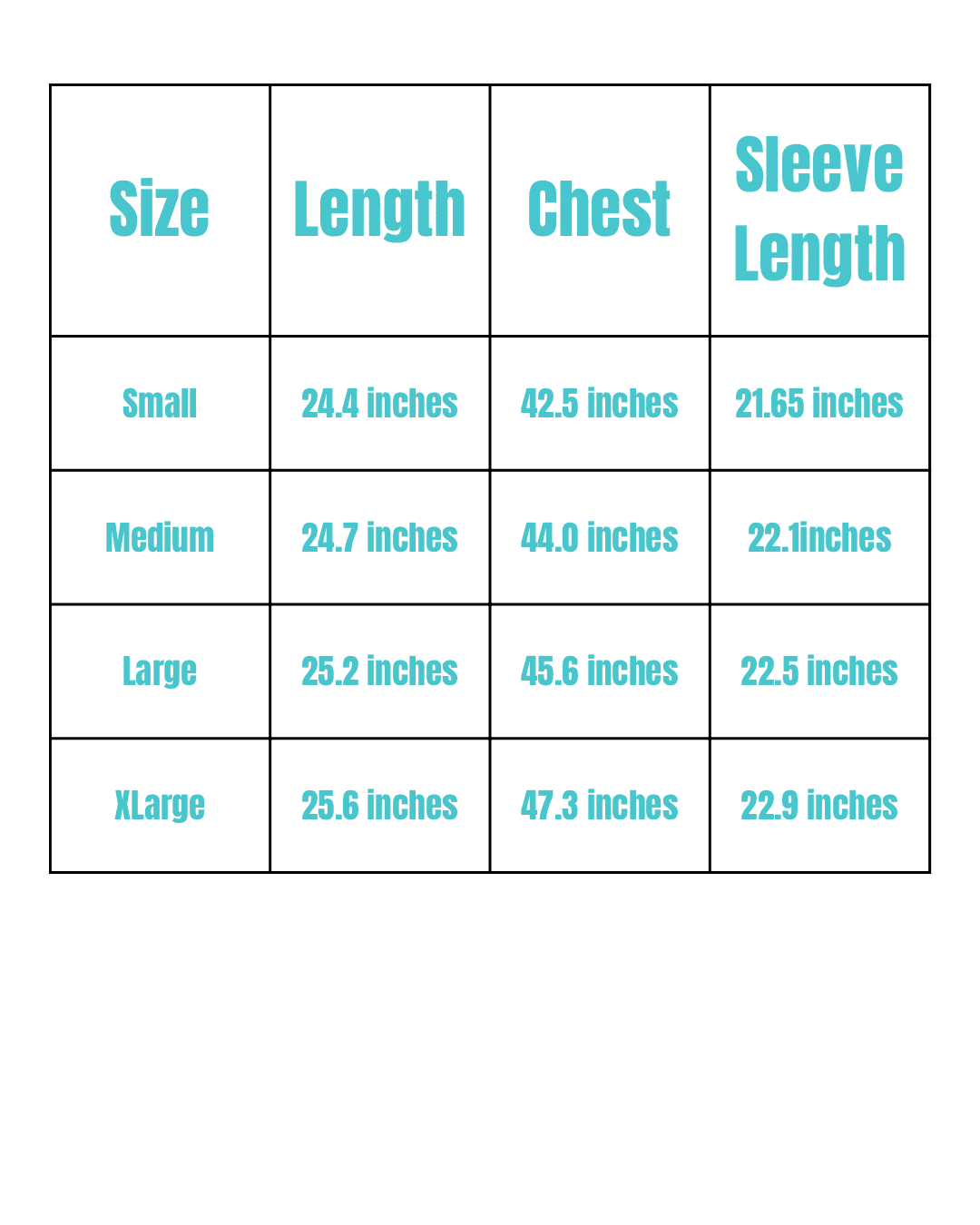 Size chart for Everything Hoodie - Embroided with measurements for Small to XLarge. Includes length, chest, and sleeve length in inches.